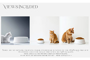 Pet Bowls PNG & PSD Mockups, a Product Mockup by mock-ups (Thumbnail 2 of 12)