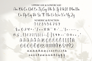 Wildflower | Script Font, a Handwritten Font by Scratchones (Thumbnail 7 of 8)