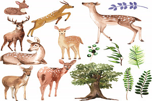 Beautiful Deer Clipart Set