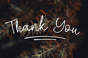 Biegen Stinger - Script Font, a Script Font by NTC Graphic (Thumbnail 9 of 9)