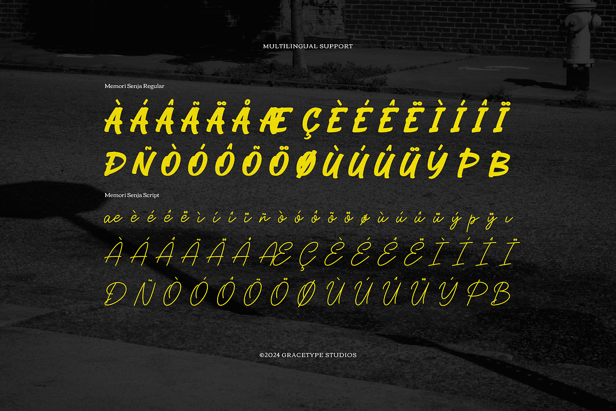 Memori Senja | Hand Drawn Script, a Handwritten Font by gracetype_studio (Photo 12 of 12)