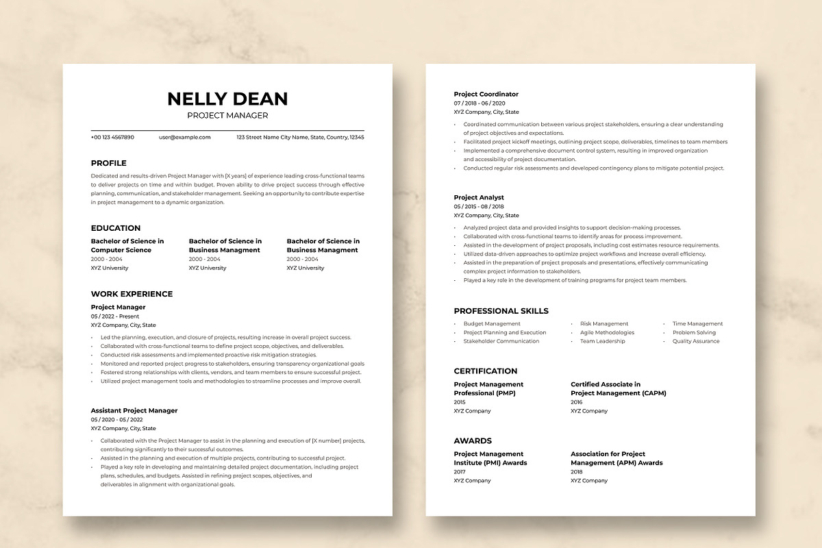 Project Manager Resume Template preview 3
