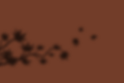 Autumn Shadows +Bonus Spooky Shadows, an Object Graphic by Jessica Fadel Design (Thumbnail 16 of 18)