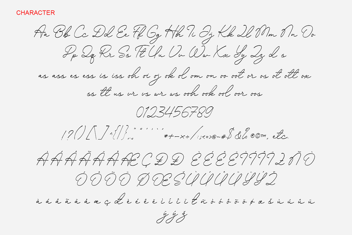 DaistoneyHarlond - Swash Calligraphy, a Script Font by Myn Type (Photo 10 of 13)