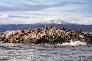 Seal Island near Ushuaia, a Photo by saiko3p