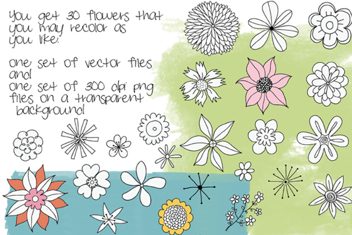 30 Hand Drawn Flowers Vector Clipart, an Illustration by Colors on Paper (Photo 3 of 3)