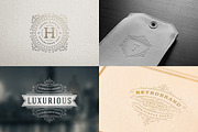 250 ornaments logos & monograms, a Branding & Logo Template by Vasya Kobelev (Thumbnail 12 of 23)