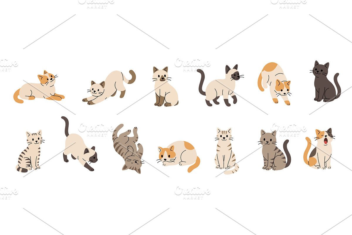Cute cartoon cats in different poses, an Animal Illustration by GraphiShop