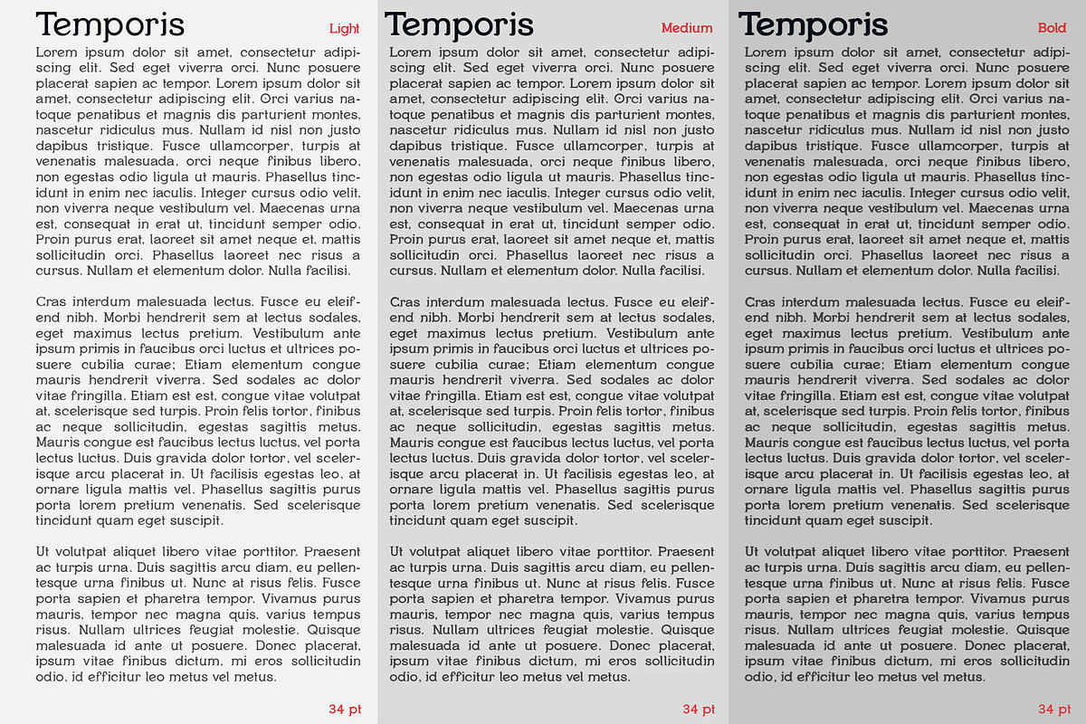 Temporis - Serif Font Family, a Serif Font by Artistic & Unique (Photo 13 of 13)