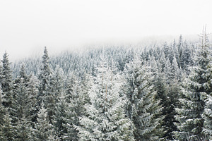 Snowy landscape stock photo containing winter and background