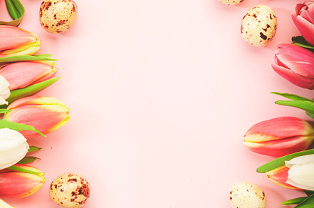 Spring Easter composition with pink tulips flowers and eggs on p, a Holiday Photo by 5PH