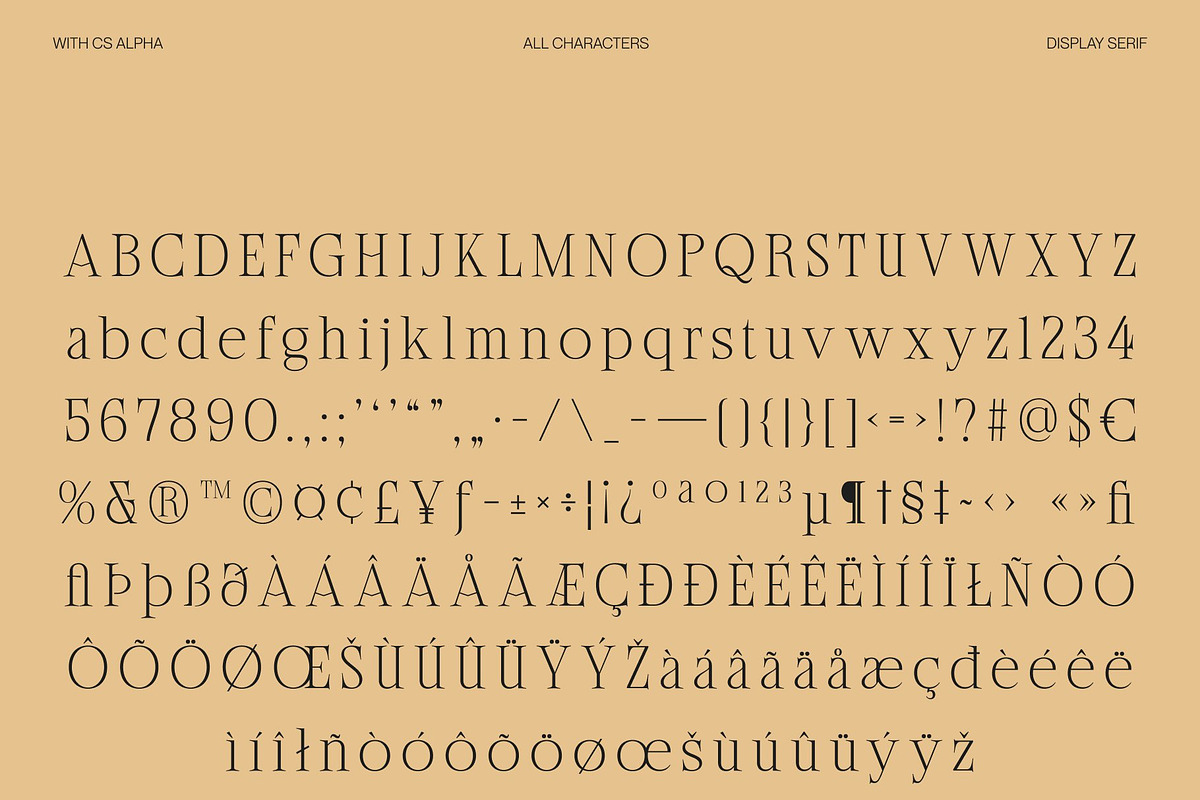 CS Alpha – Classic Serif Font, a Serif Font by Craft Supply Co. (Photo 8 of 8)