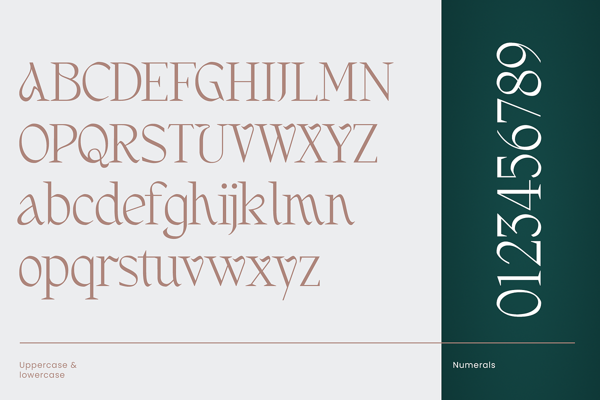 Fernhead Decorative Serif Font, a Serif Font by Headfonts (Photo 11 of 11)