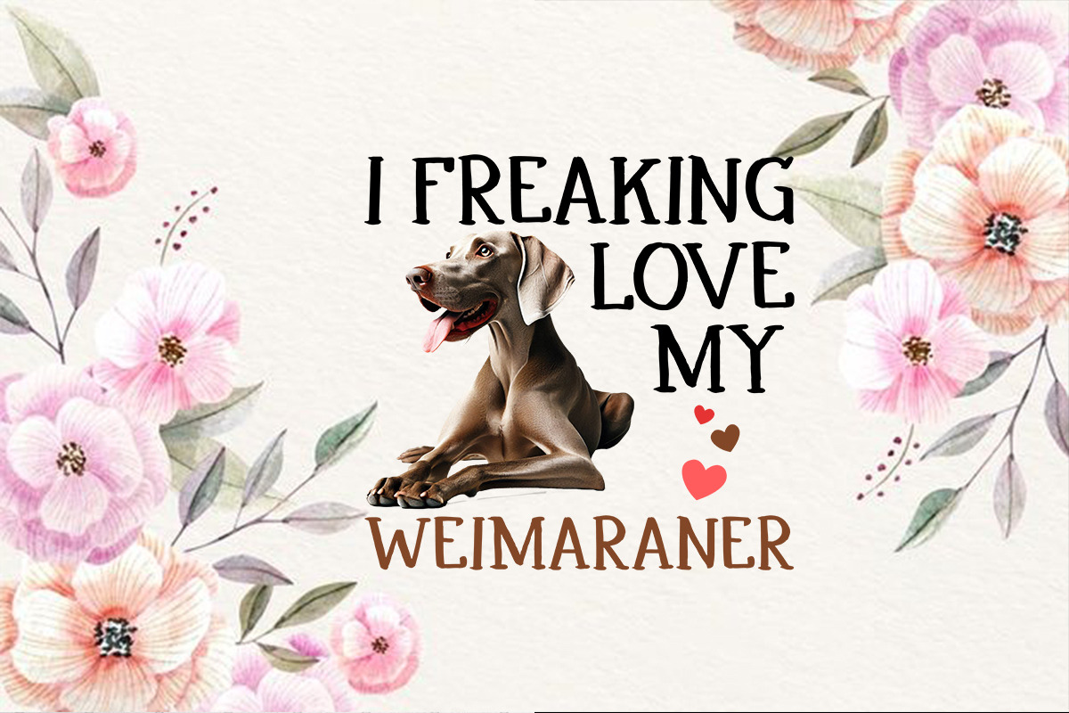 Valentine Day Dog Breeds T-Shirt, a Graphic by T-shirt Pond (Photo 39 of 44)