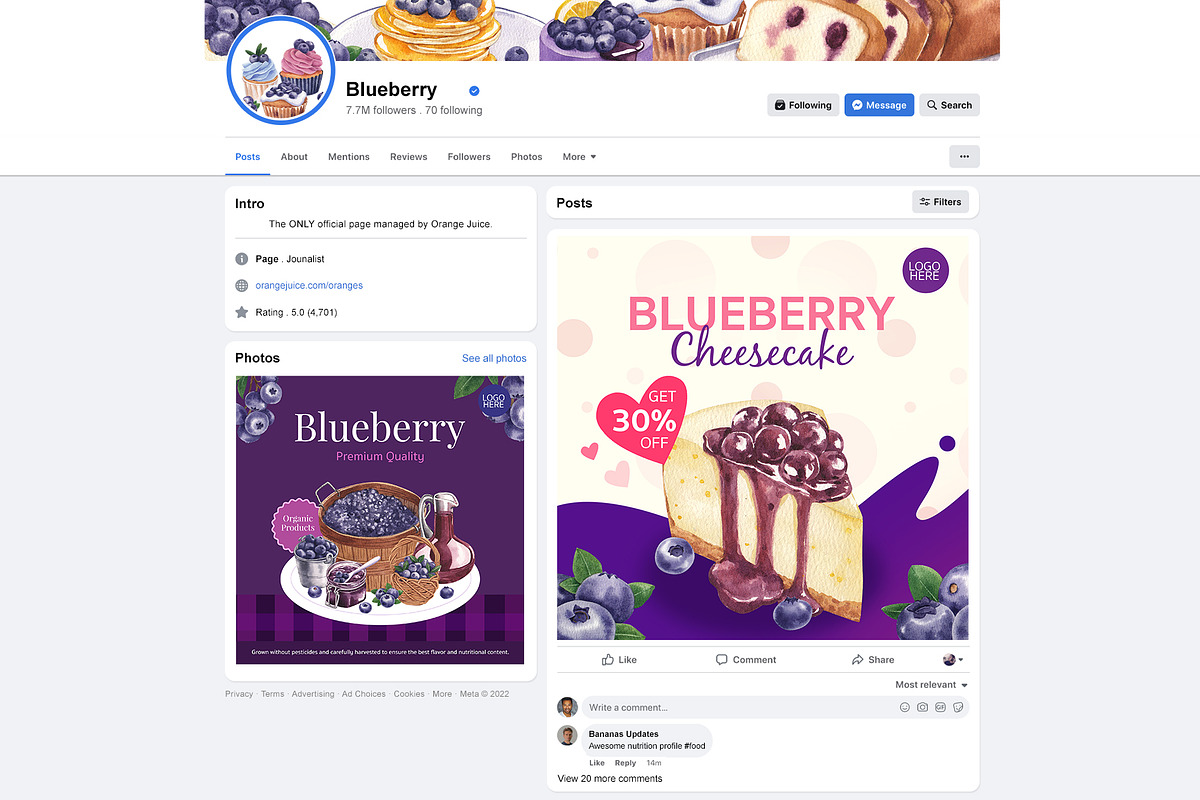 Blueberry Watercolor Hand Drawn, a Food Illustration by CreativeValuation (Photo 8 of 17)