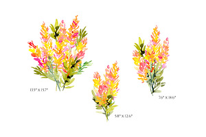 Watercolor Pink Yellow Lupine Flower