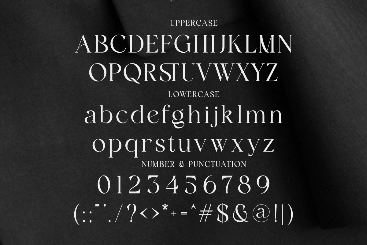 Flamicia - Luxury Modern Editorial, a Serif Font by Qweera Studio (Photo 11 of 12)