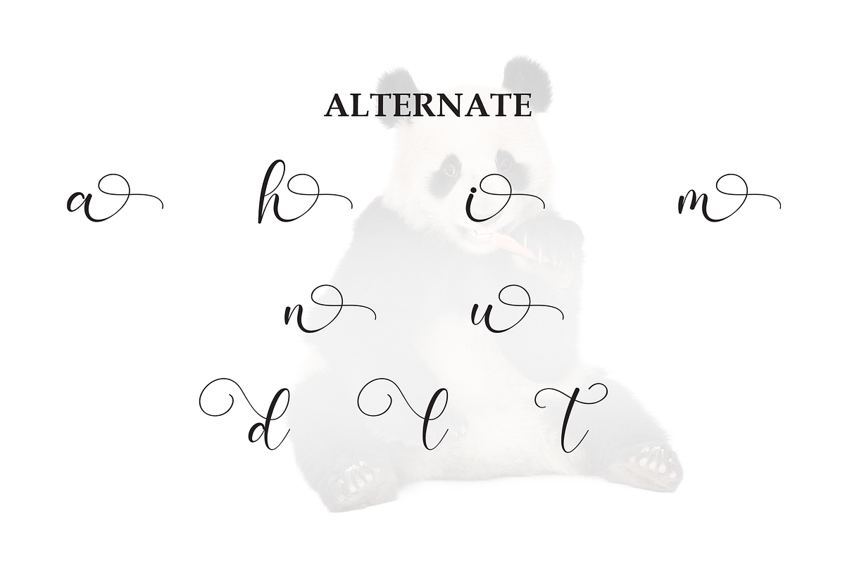 Panda | Script Font, a Handwritten Font by Scratchones (Photo 8 of 9)