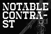 DANGER - Slab Serif Font, a Slab Serif Font by Dauum Works (Thumbnail 4 of 11)