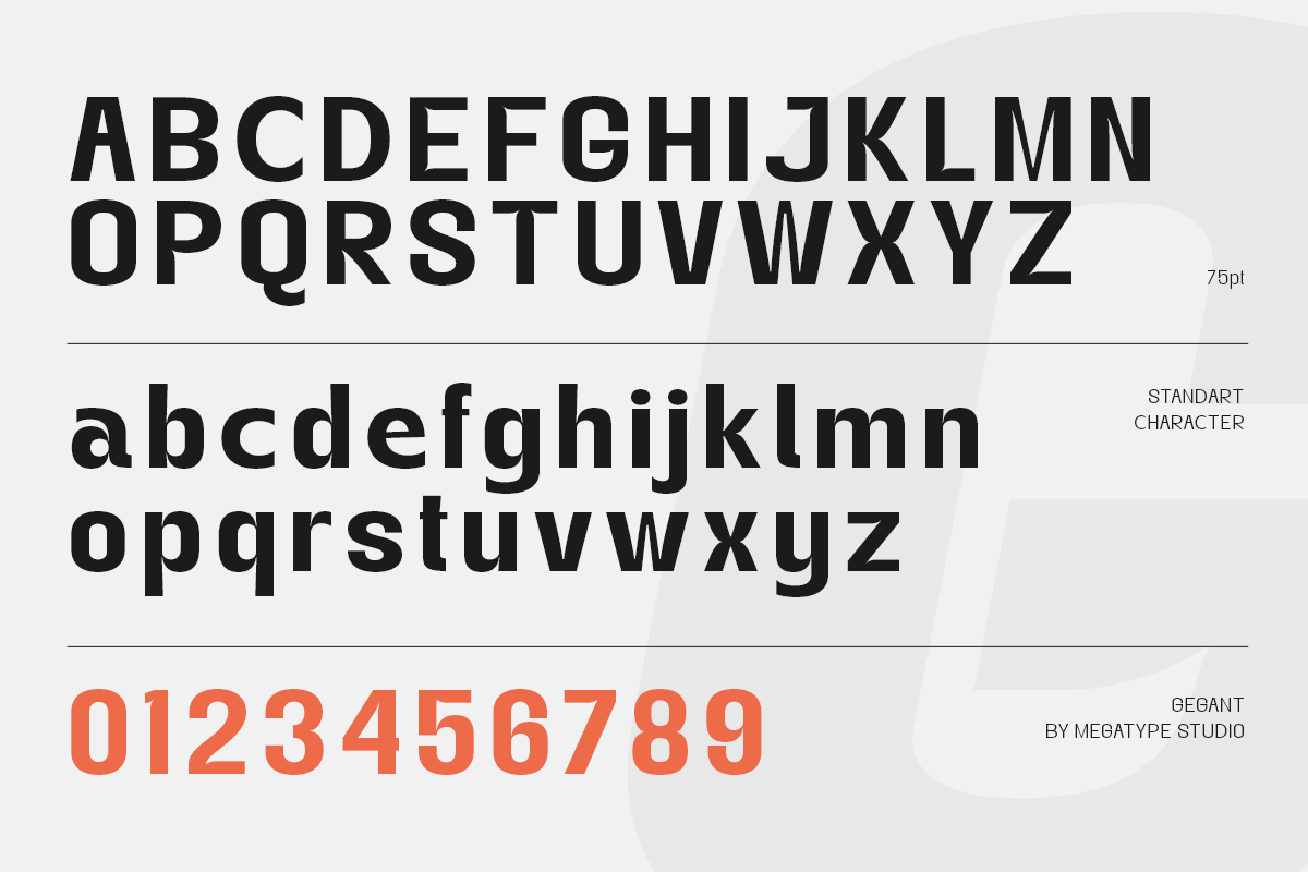 Gegant Font, a Sans Serif Font by Megatype (Photo 15 of 15)