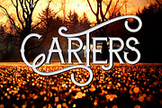 Carters, a Font by inumocca_type (Thumbnail 1 of 11)