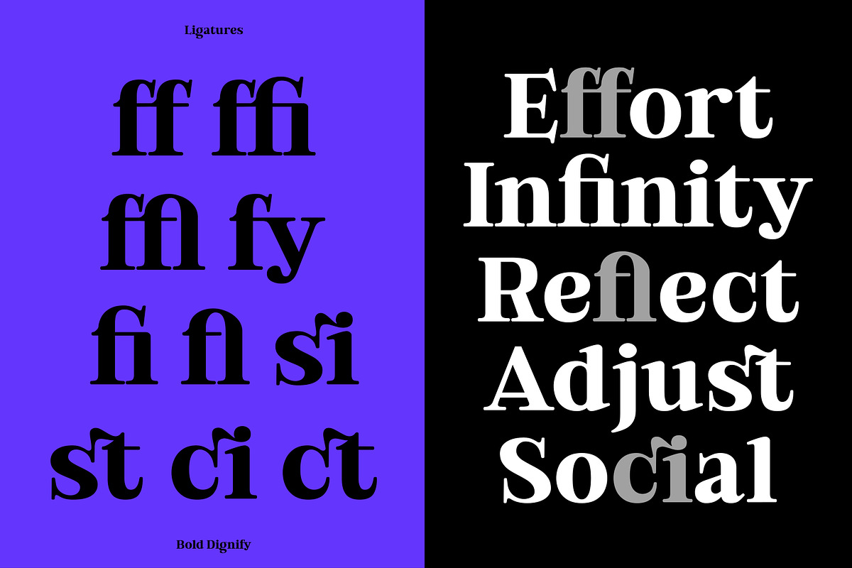 Bold Dignify - Minimalist Calm Serif, a Serif Font by Fridaytype (Photo 8 of 12)