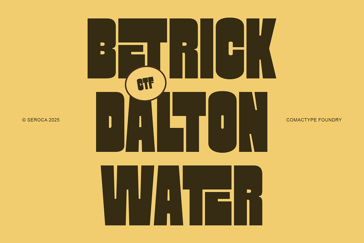SEROCA - A Funky Sans Serif Font, a Sans Serif Font by Comactype Foundry (Photo 14 of 15)