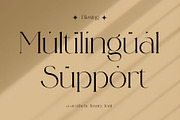 Blasing Aesthetic Serif Font, a Serif Font by Alfinart (Thumbnail 4 of 10)