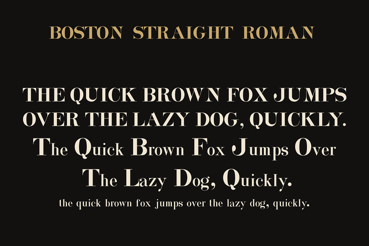 Boston Straight Roman – Display Font, a Serif Font by Lilithcollageart (Photo 13 of 20)