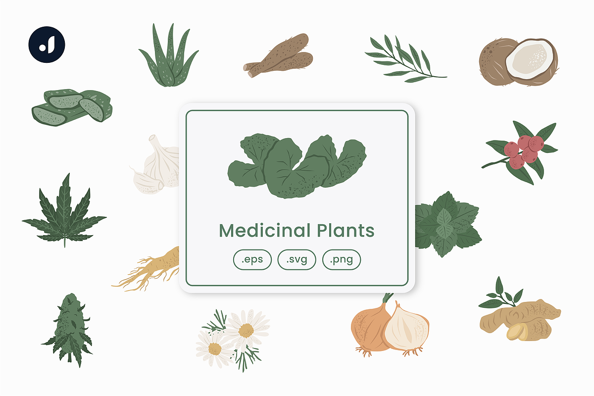 Medicinal Plants Illustration, an Object Graphic by Jump Studio (Photo 1 of 4)