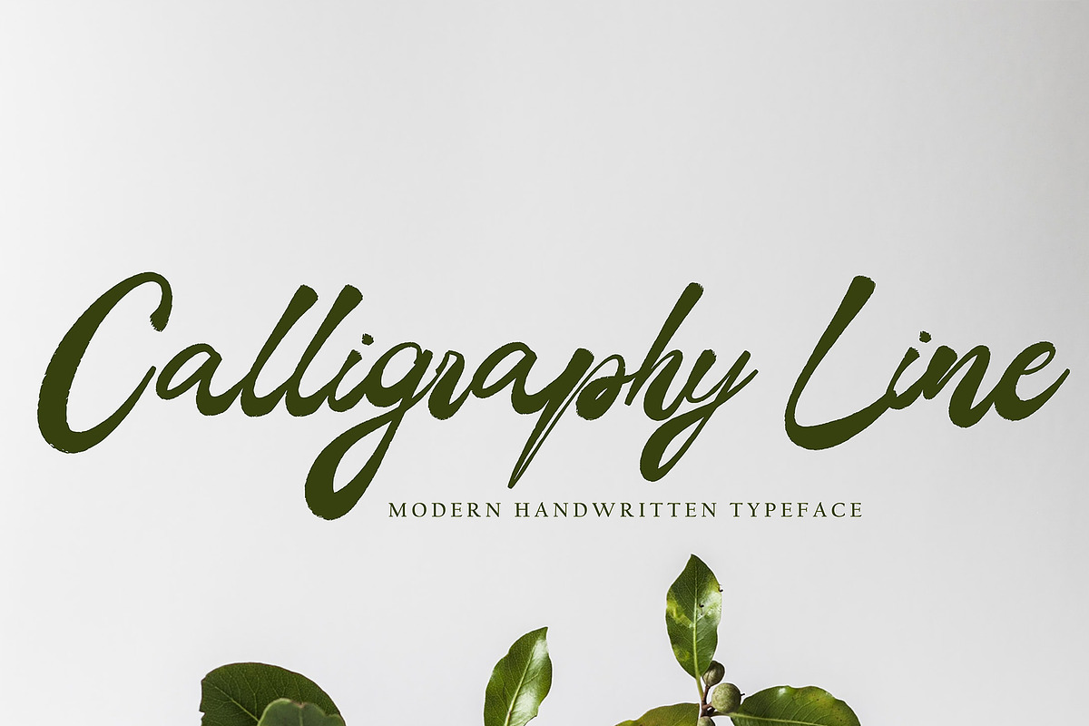 Skaner Bold, a Script Font by pineungtype (Photo 4 of 6)