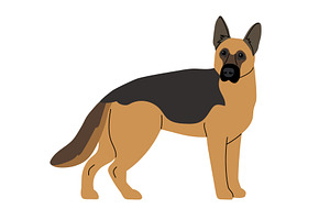 Shepherd breed dog on wite, an Animal Illustration by Stock-Smart-Start