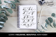 FLOURISH STAMPS FOR PROCREATE, a Brush Add-On by Loveleigh Loops (Thumbnail 12 of 16)