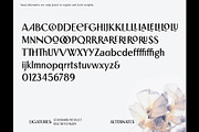 Saphion- Vintage Display Typeface, a Sans Serif Font by Lurinzu Studios (Thumbnail 3 of 9)