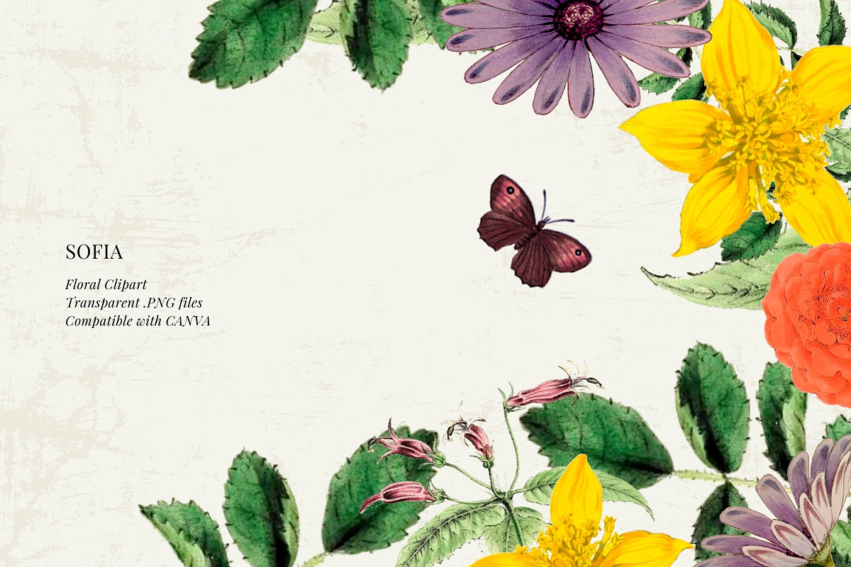 Antique flowers illustrations, an Illustration by AS Studio (Photo 2 of 8)