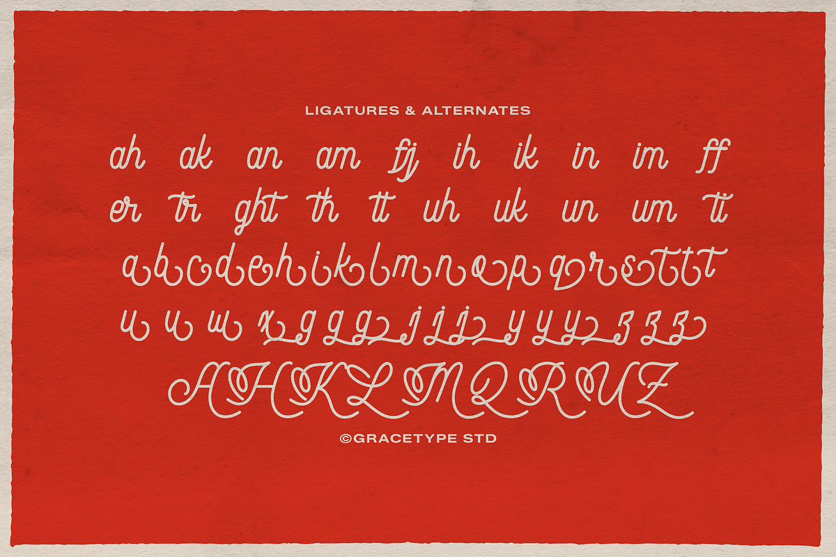 Audley Ipswitch | Monoline Script, a Script Font by gracetype_studio (Photo 11 of 12)