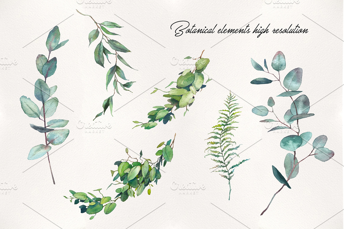 LUNAR Herbarium, an Illustration by Eisfrei (Photo 3 of 10)