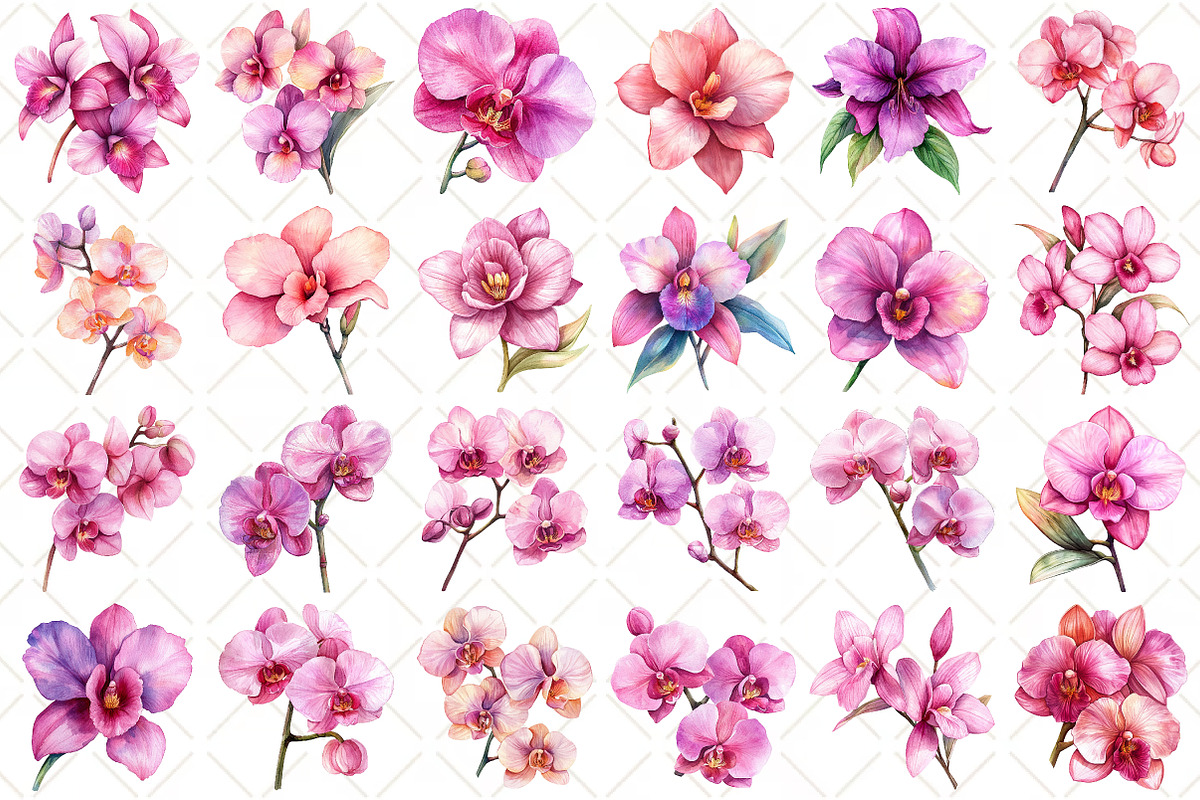 Watercolor Pink Orchid Clipart, an Illustration by Black Bird Studio (Photo 2 of 5)