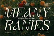 Amadi - Quirky Serif Font, a Serif Font by Craft Supply Co. (Thumbnail 8 of 8)
