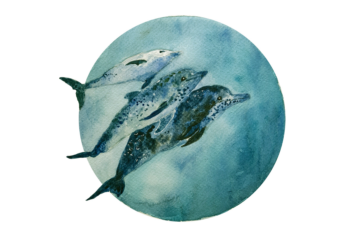 Watercolor Dolphins & Whales poster, an Animal Illustration by Bychovsky design (Photo 5 of 7)