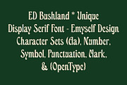 ED Bushland - Unique Display Serif, a Serif Font by Emyself Design (Thumbnail 8 of 10)
