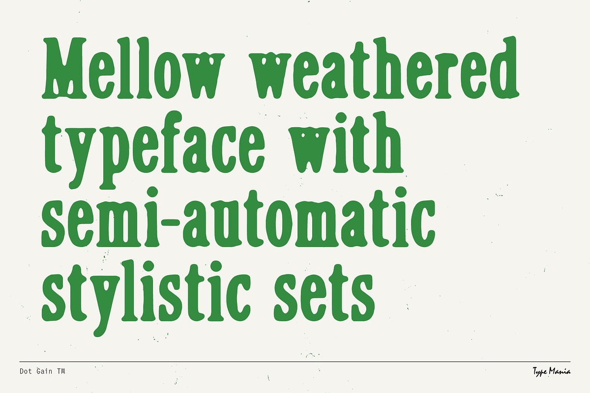 Dot Gain TM – Cozy Serif, a Serif Font by Type Mania (Photo 2 of 10)
