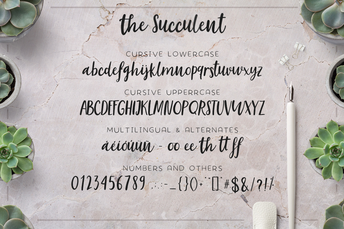 The succulent - font trio! preview 2
