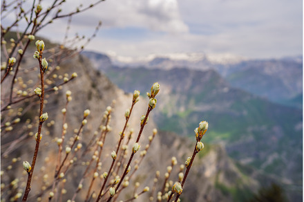 Breathtaking panoramic view of the, a Nature Photo by Elizaveta Galitskaya
