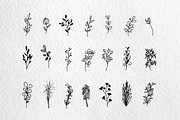 Flowers, an Illustration by AMMi (Thumbnail 4 of 5)