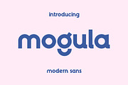 Mogula Modern Sans Font, a Sans Serif Font by Storytype Studio (Thumbnail 1 of 15)