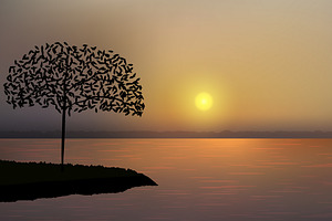 Beautiful golden sunset