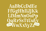 Angel & Bunda Groovy Serif Font, a Serif Font by timelesstype.co (Thumbnail 15 of 20)