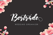 Ricttoria Font Duo, a Script Font by MissinkLab Studio (Thumbnail 4 of 7)
