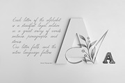 Gentle Whisper. Wedding Floral Font, a Handwritten Font by AnMark (Thumbnail 2 of 11)